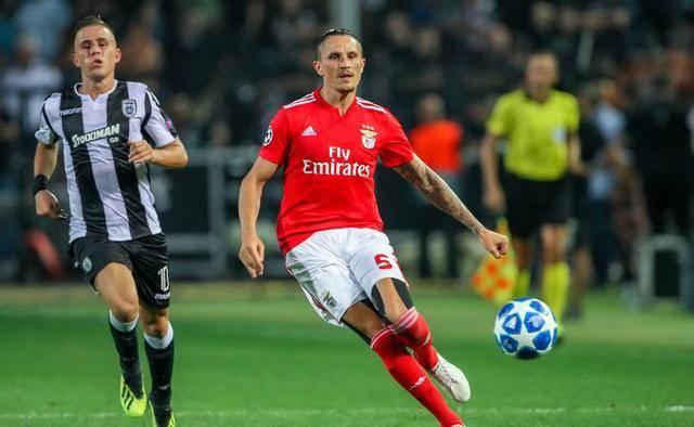 正如新西兰 正如新西兰