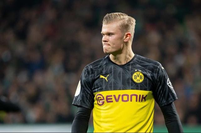 银杏作为中 银杏作为中